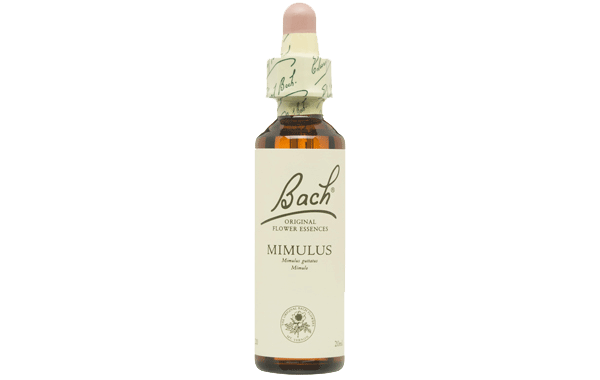 MIMULUS MIMULO No 20 20ML BACH min