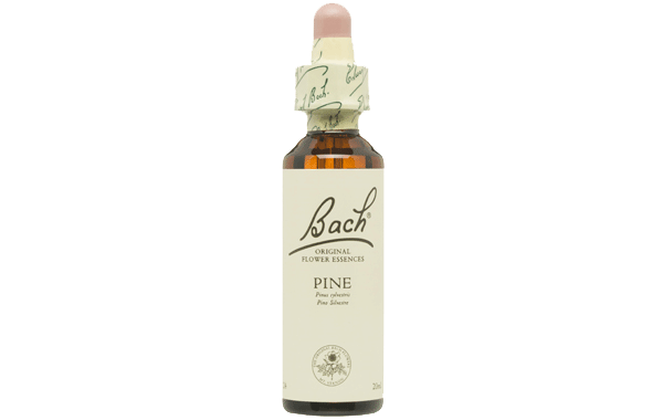 PINE PINO SILVESTRE No 24 20ML BACH