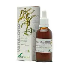 VARA DE ORO SORIA PLANTA