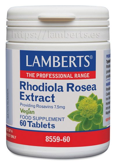 rodhiola rosea lamberts 8559 60 (1)