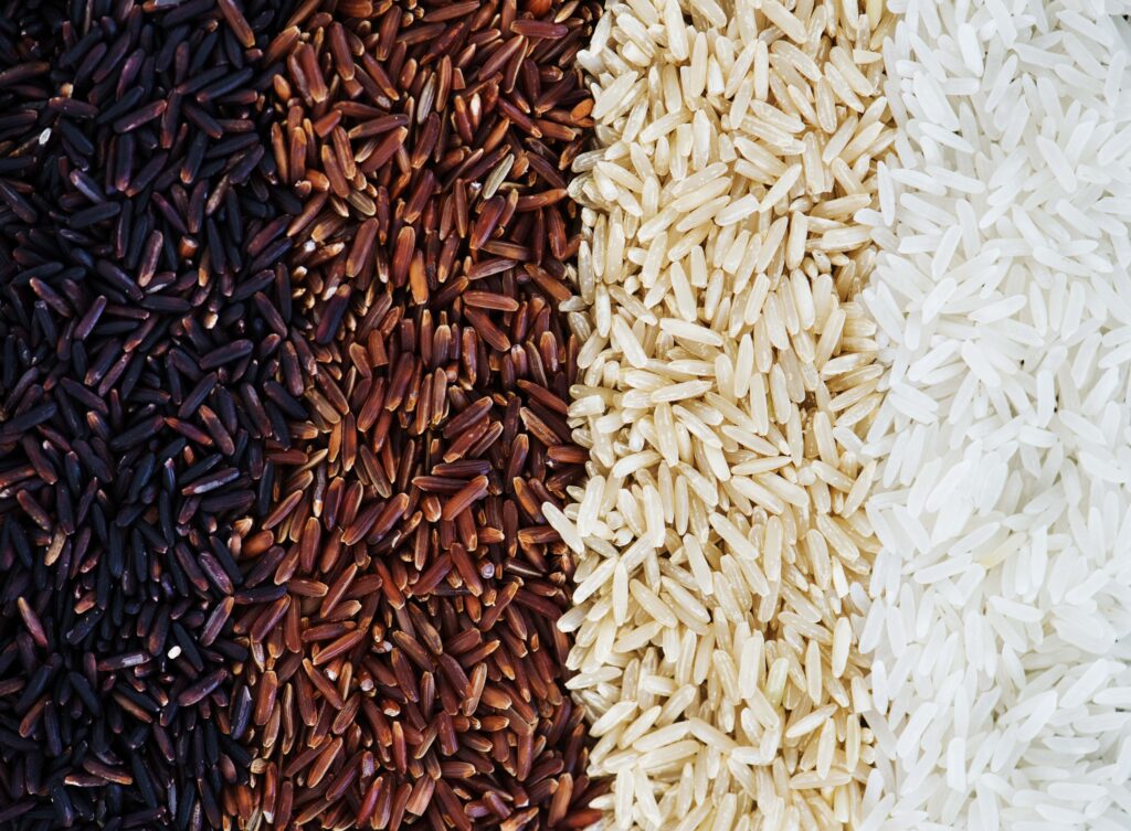 Beneficios de las proteínas vegetales-arroz