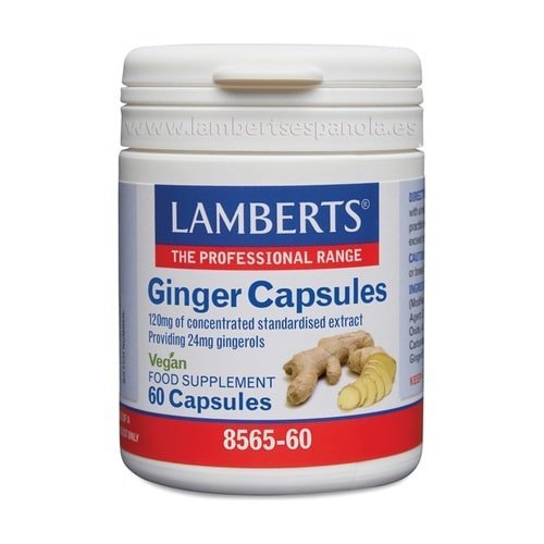 JENGIBRE 120 MG 60 TABLETAS LAMBERTS min.jpg