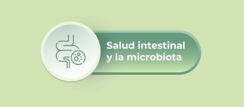 salud instestinal y microbiota blog min