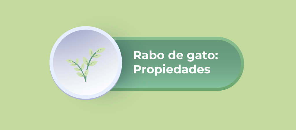 rabo de gato 2 min