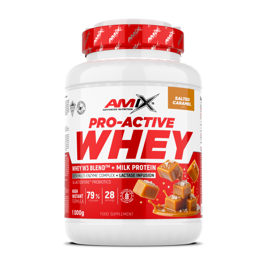 AX pro active whey protein 1000g salted caramel AX 99193 L EN ES CZ PT FR IT 01 F