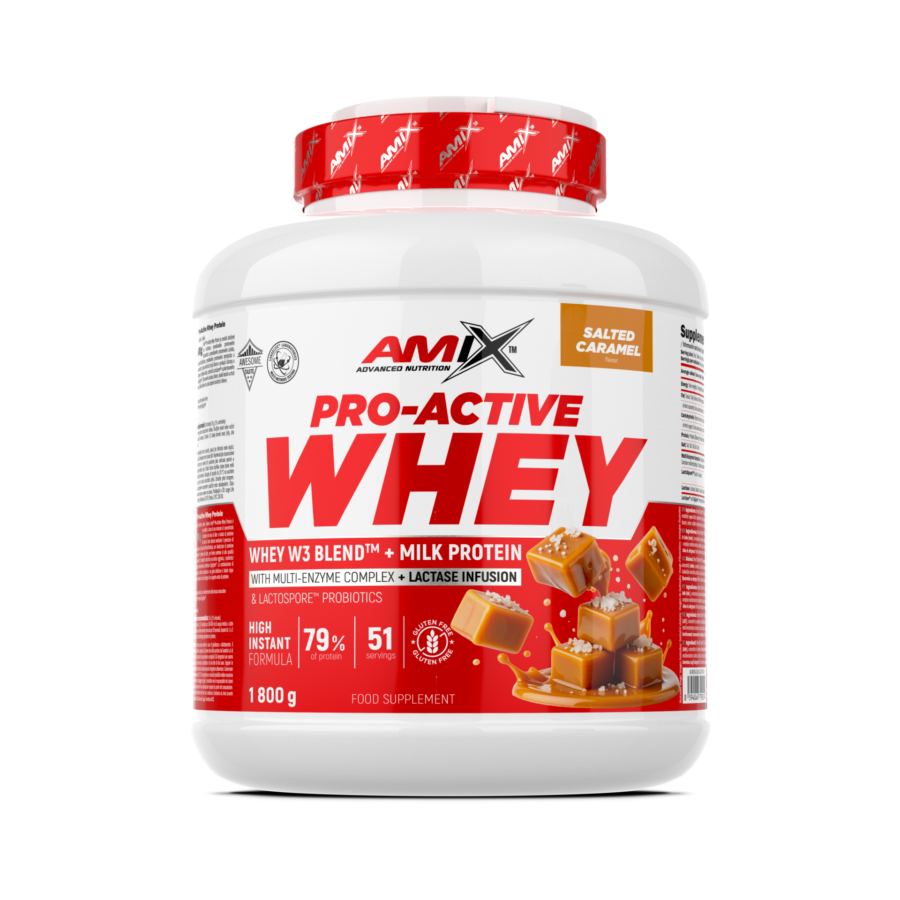 AX pro active whey protein 1800g salted caramel AX 99254 L EN ES CZ PT FR IT 01 F
